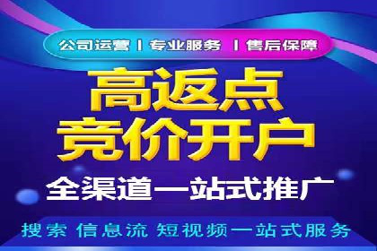 案例分析：SEM推广助力行业竞争突围